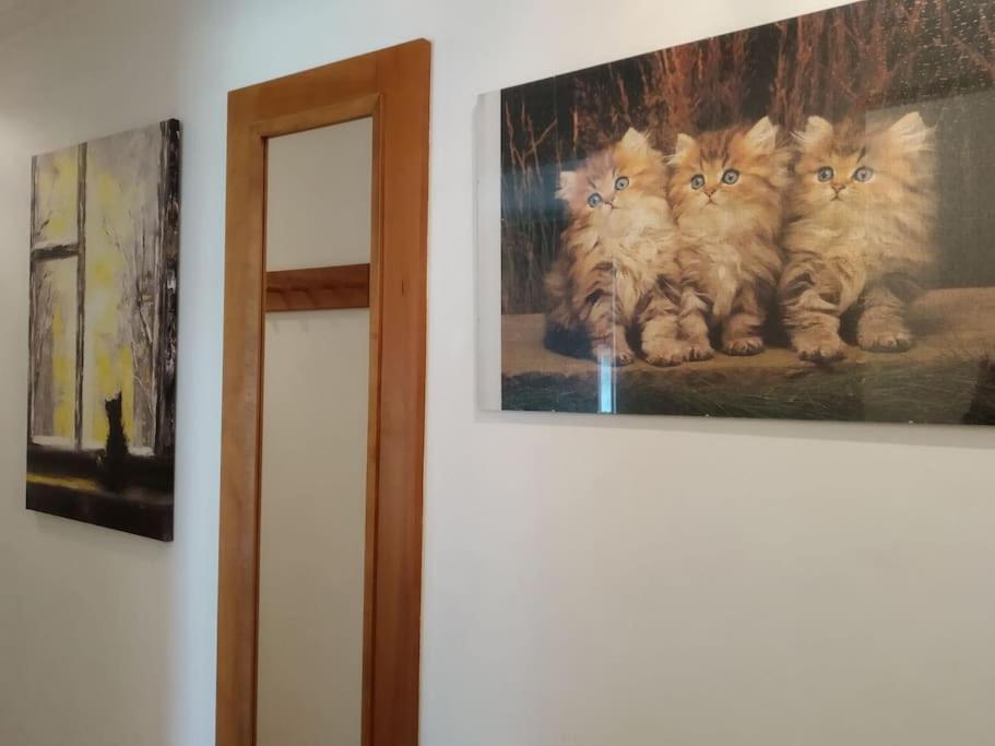 Appartement Le Daoun Dunes, Pins Ocean Et Golf Moliets-et-Maa Esterno foto