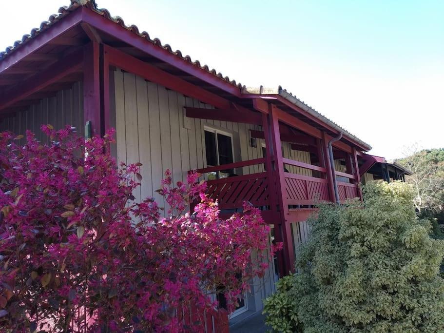 Appartement Le Daoun Dunes, Pins Ocean Et Golf Moliets-et-Maa Esterno foto